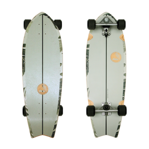 Slide_Fish_Pavones